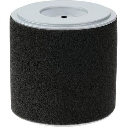 Stens Air Filter Combo 100-901
