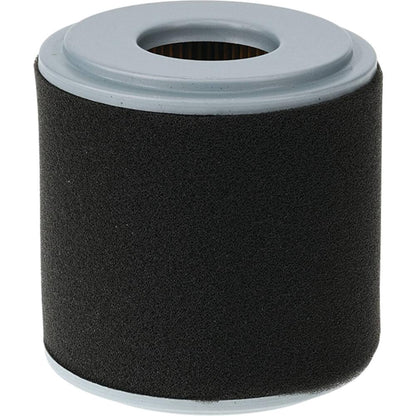 Stens Air Filter Combo 100-905