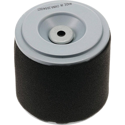 Stens Air Filter Combo 100-905