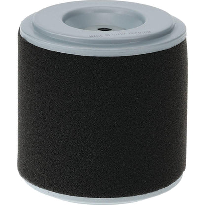 Stens Air Filter Combo 100-905