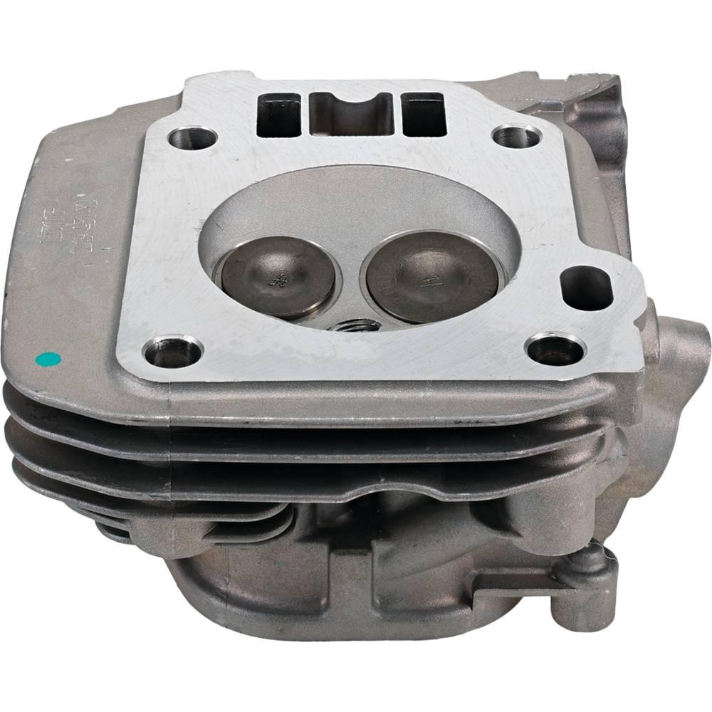 Stens Cylinder Head Service Kit 515-787