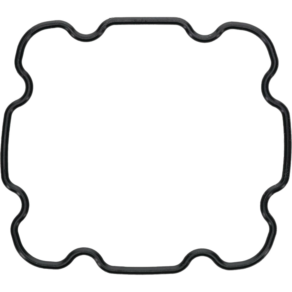 Mojave O-Ring TLM5-OR