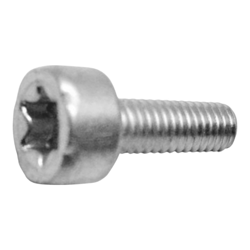 Echo Bolt, Torx 4 V804000050