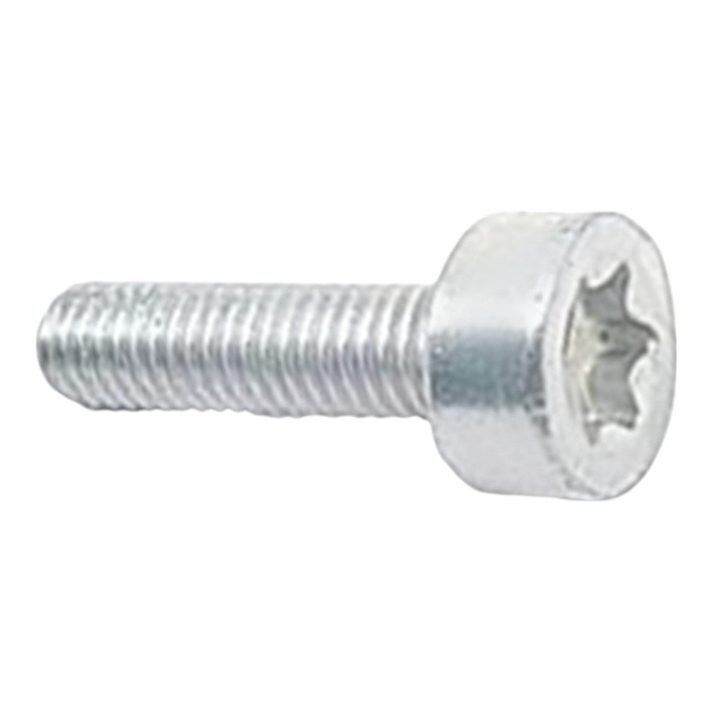 Echo Bolt, Torx 4x16 V804000060
