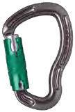 Sentinel Locksafe Carabiner.