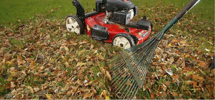 image of a rake and mulch mower