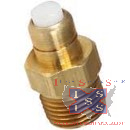 1/2 NPT Thermal Relief Valve - Click Image to Close
